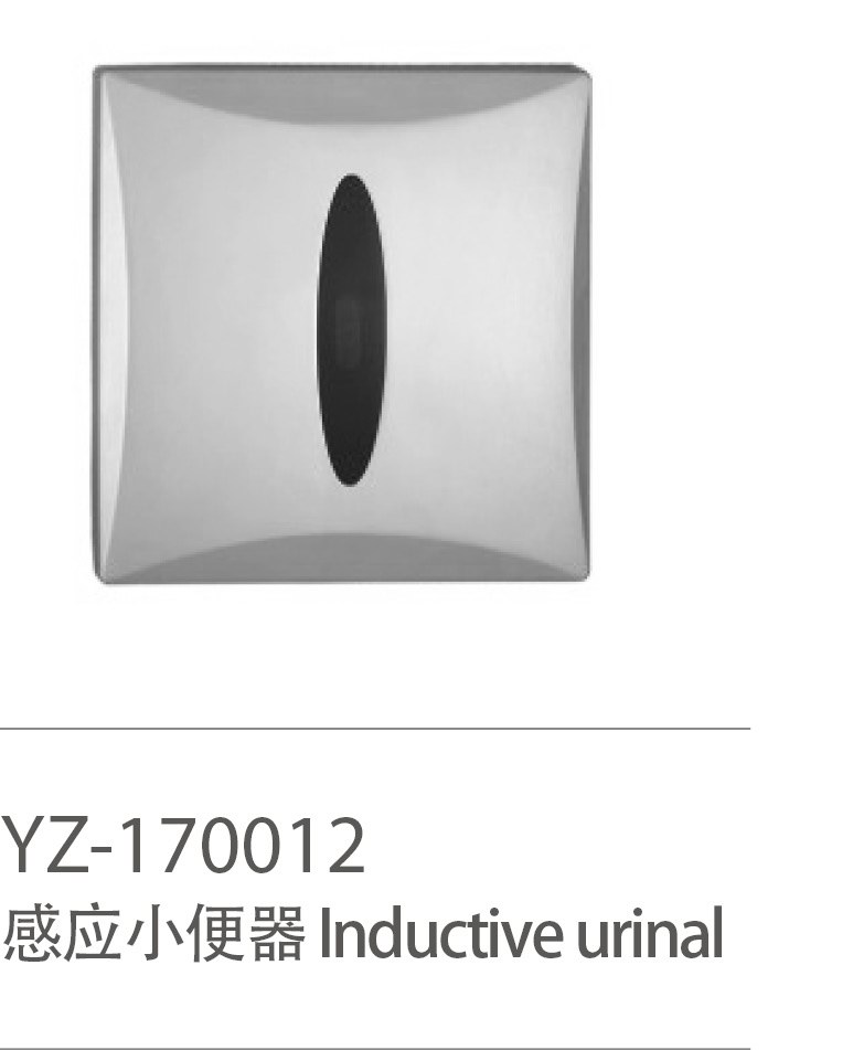 YZ-170012